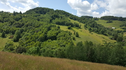 Summer day in the mountains