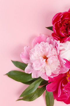 Fototapeta nice peonies