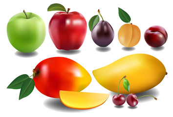  collection of fruits