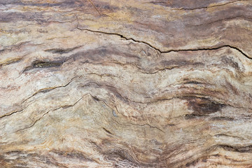 Background of old cracked trunk of withered tree without bark