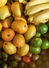 Multicolour fruits group 