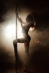 Obraz na płótnie Canvas Pole dancing