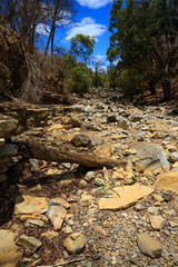 dry stone riverbed, Ankarana Madagascar