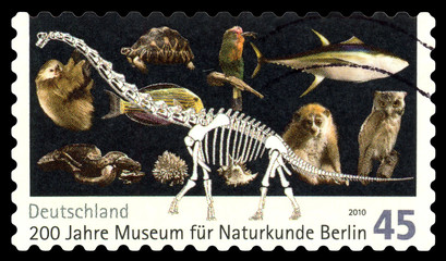 Postage stamp. Skeleton of a Brontosaurus. © Swet