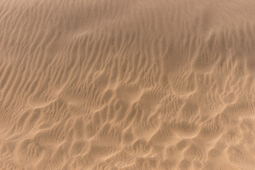 Sand beach texture. Brown sandy beach for background
