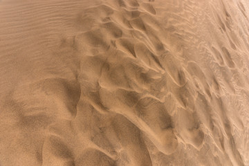 Sand beach texture. Brown sandy beach for background