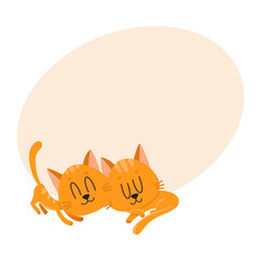 Two cute and funny cat characters sleeping together, cartoon vector illustration with space for text. Couple of cute sleeping, napping, dreaming little red cat, kitten characters