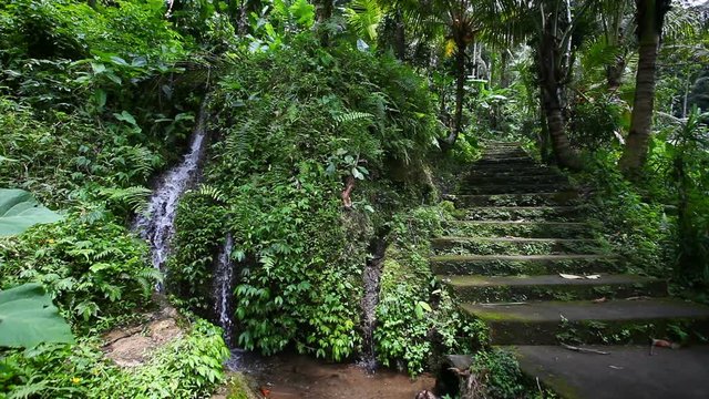 Old stone stairs in the jungle with a waterfall, lush tropical greenery, Bali Indonesia