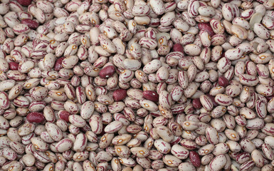 varieties of white and brown beans in a vegetable market