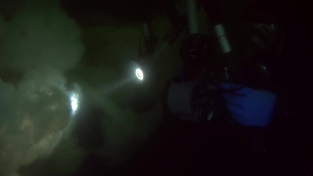 Camera man with flashlight on background seabed underwater in ocean of Alaska. Swimming in amazing world of beautiful wildlife. Abyssal relax diving.