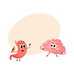 Cute and funny human stomach and brain characters, cartoon vector illustration with space for text. Healthy human stomach and brain characters, brain to stomach connection concept