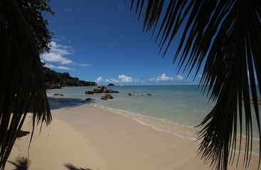 Fototapeta na wymiar Cote D´Or Beach at Anse Volbert is situated in the north of Praslin Island, Seychelles, Indian Ocean, Africa