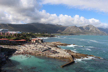 Fototapeta premium Hermanus 