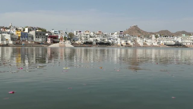 Floating flowers on the holy water pond in Pushkar, Rajasthan, India, sacred town for hindu people.