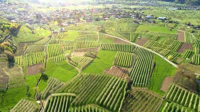 Aerial 4k - Meleti della Valtellina (IT) - Zona Chiuro