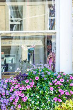 Pretty, small, pink and violet flowers at the window