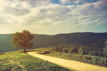 Landscape in nature of sky with cloudy and roadway through forest.