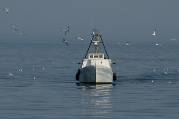 A fishing boat surrounded by flying seagulls Croatia