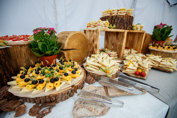 Tasty and beautiful light snacks, canape, cocktail party. Organic food.