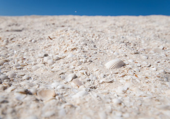Shell Beach, Western Australia, 05/05/2015, Shell beach is a beach made up entirely of small white cockle shells, popular with backpackers.