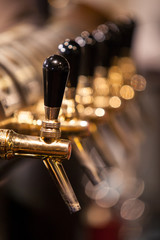 Obraz premium A lot of Golden beer taps at the bar