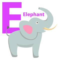 Children s Alphabet Icon Cartoon Elephant Letter E