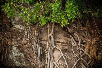 Landscape in NP Lower Zambezi - Zambia