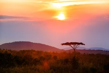 Fensteraufkleber Sonnenuntergang im Nyika Nationalpark - Malawi © Radek