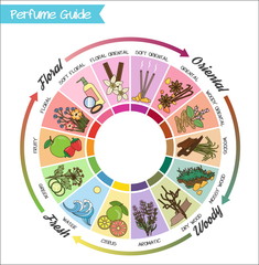 Perfume guide wheel infographic. - obrazy, fototapety, plakaty