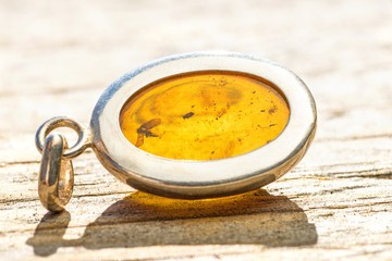 Bernstein mit Insekteneinschlüssen