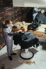 Little Boy Getting Haircut By Barber