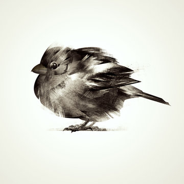 Painted isolated bird sitting sparrow