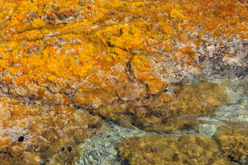 Colorful natural texture with blue sea and yellow rocks