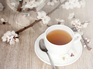 Tea and apricot flowers