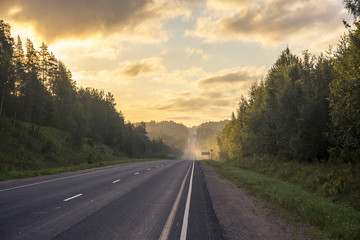 View on asphalt road through the forest