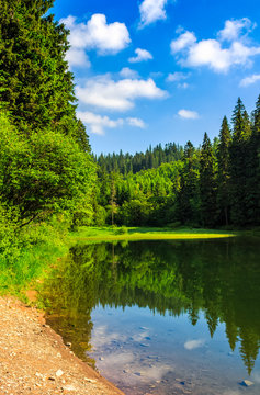 mountain lake among the forest