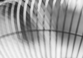 Abstract black and white stripes and motion blur background.