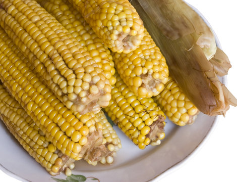 Boiled corn stacked on a white plate