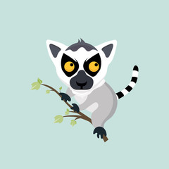 Cute cartoon ring tailed lemur.