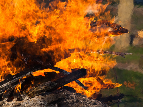 Feuer
