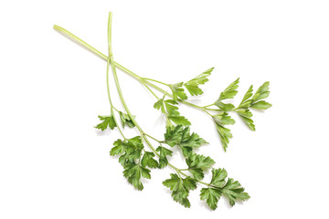 Fresh parsley isolated