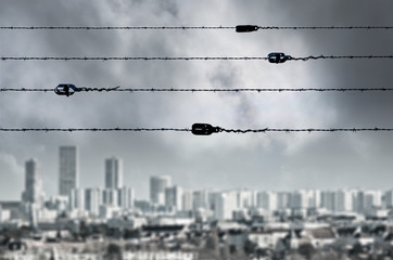 cité immeuble quartier sociaux social hlm revenu bas galère survivre ville populaire prison...
