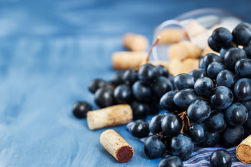 Branch of purple grape and wine corks on gray