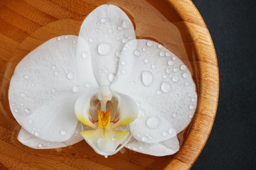 Fototapeta na wymiar White orchid floating in bamboo bowl