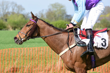 Thoroughbred racehorse and jockey cantering 