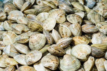 Vongole e Cozze