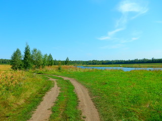 Road to the pond