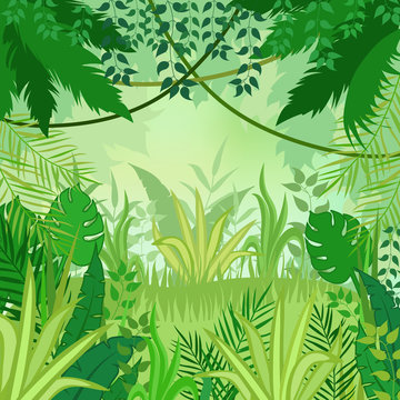 Jungle background. Trees and plants. Vector illustration