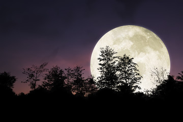 Fototapeta na wymiar Dramatic and beautiful big moon on night sky.