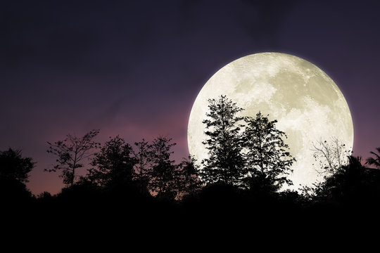 Dramatic and beautiful big moon on night sky.